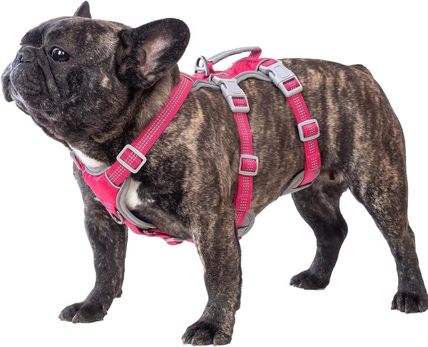 Huntboo Escape Proof Dog Harness, Escape Artist Harness, Reflective Harness with Padded Handle, Breathable, Durable, Adjustable Vest for Medium Dogs Walking, Training, and Running Gear (Blue, M)9