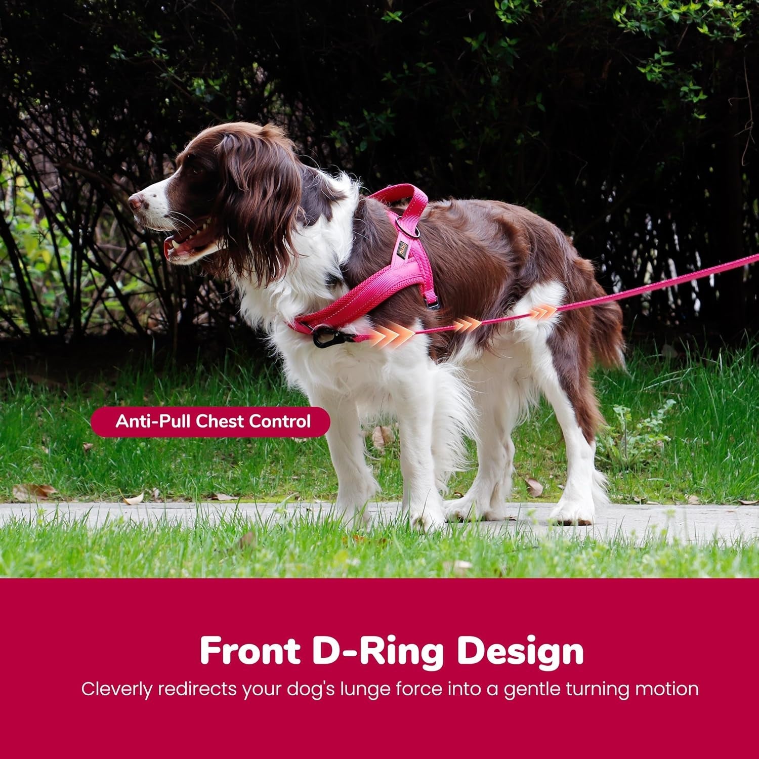didog-no-pull-dog-harness-for-small-dogs-breathable-mesh-padded-hot-pink-s-quick-fit-easy-on-and-off-lightweight-reflective-vest-harness-for-night-safty-easy-for-walking-and-training-chest-18-22