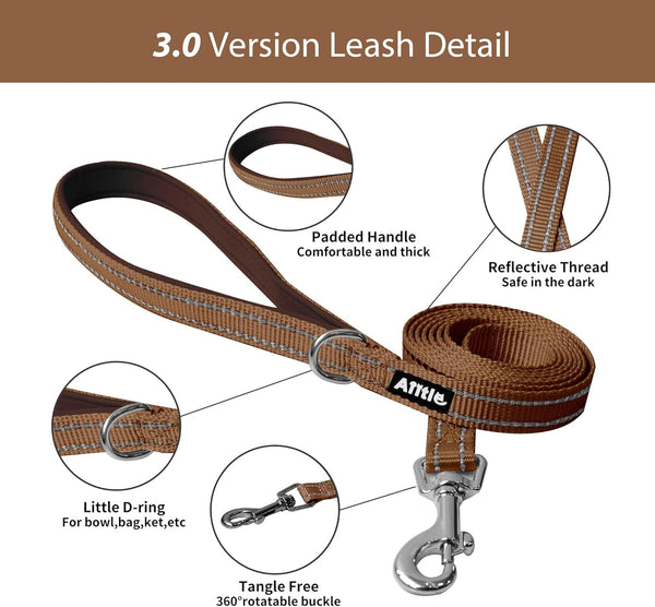 AIITLE No Pull Dog Harness and Leash Set, Step in Adjustable Dog Harness with Padded Vest for All Weather, Dog Leash with Soft Padded Handle, Easy to Put on Small and Medium Dogs Beige S5