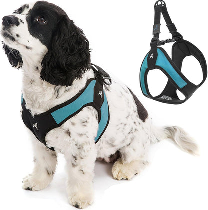 Gooby - Escape Free Easy Fit Harness, Small Dog Step-In Harness for Dogs That like to Escape Their Harness, Turquoise, Small1