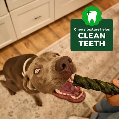 Greenies Occupy Twists Large Breed Dog Treats, Chicken Flavor, 4 Count | for Dogs 50-100 Lbs, Rawhide-Free, Promotes Calmness, Helps Clean Teeth, Highly Digestible, 8.55 Oz. Pack4