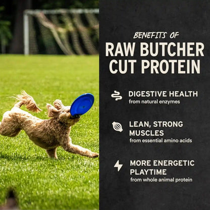 Vital Essentials Freeze Dried Raw Chicken Hearts Dog Treats, 3.75 Oz Bag | Single Ingredient, Premium Quality Protein, Grain Free, USA Made with U.S. & Globally Sourced Ingredients4