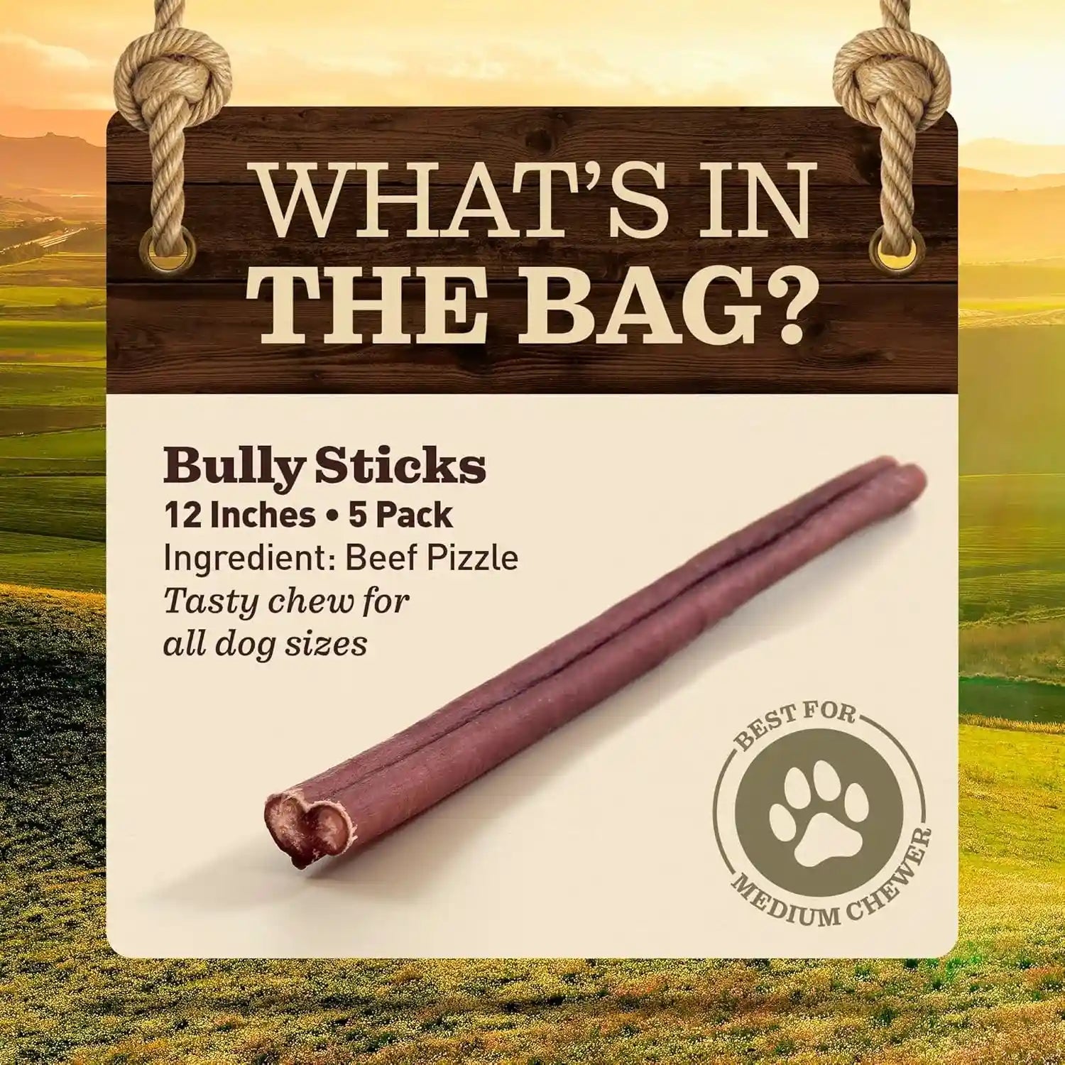 pet-odor-free-standard-bully-sticks-12-5-pack-100-grass-fed-beef-pizzle-dog-chews-fully-digestible-long-lasting-dental-treats