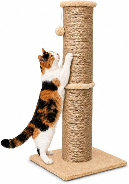 PAWSCRAT 32-Inch Tall Cat Scratching Post, 5.5-Inch Diameter, Sisal, Beige | Natural Sisal Scratching Surface with a Dangling Ball for Indoor Cats, Scratch-Resistant Durable and Protect Your Furniture10