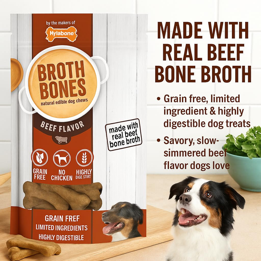 nylabone-beef-broth-bones-dog-treats-net-54count-2-38-lb