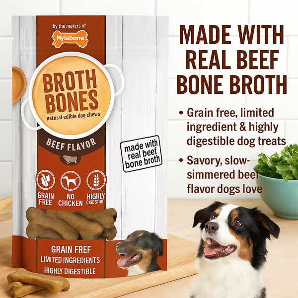 Nylabone Beef Broth Bones Dog Treats (Net 54Count), 2.38 Lb2