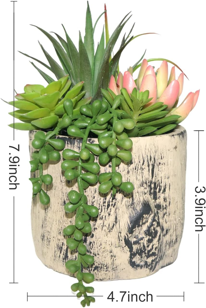 succulents-plants-artificial-faux-succulent-plants-in-elegant-ceramic-pot-assorted-faux-potted-succulent-plant-for-home-living-rooms-bedroom-decor-7-9