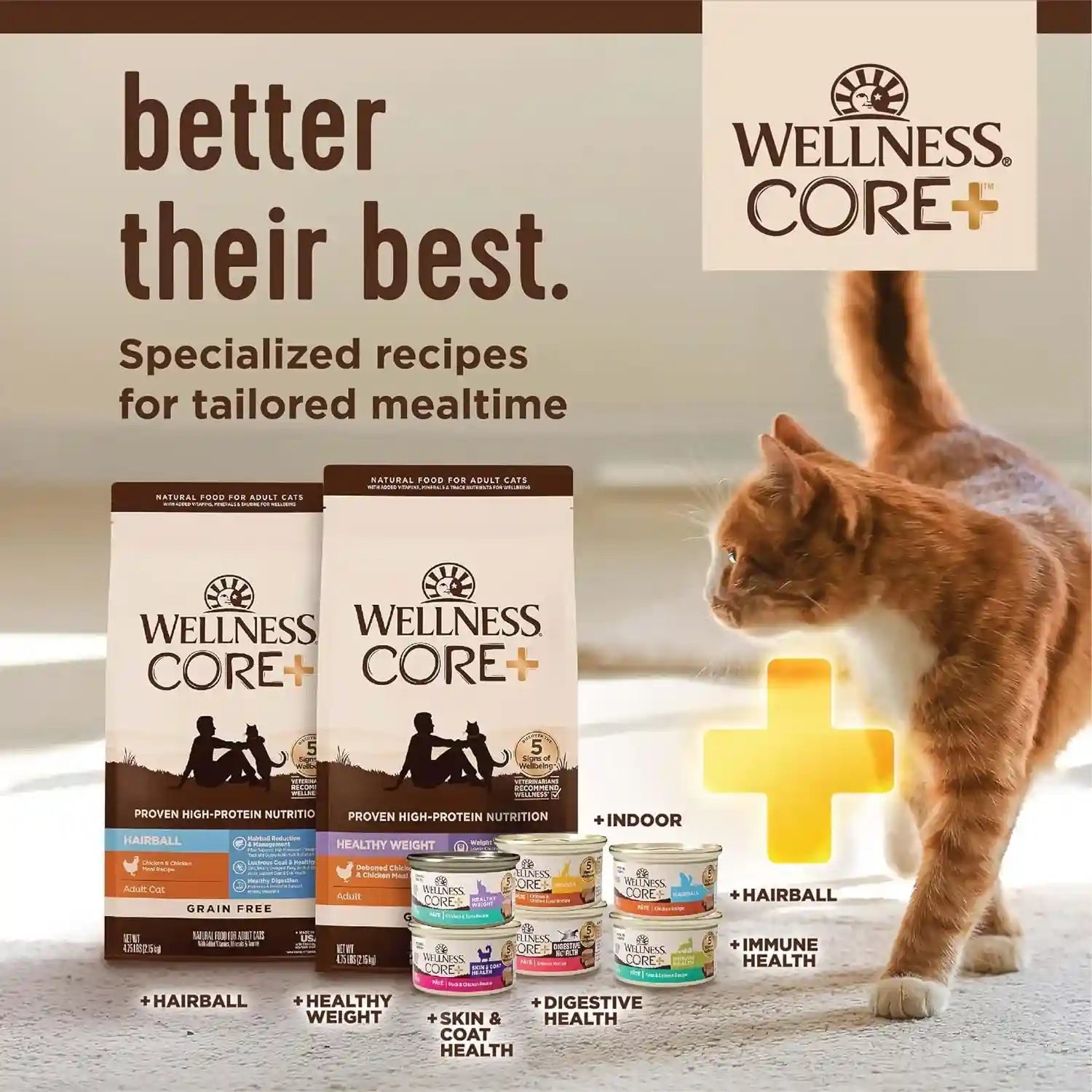 wellness-core-adult-dry-cat-food-for-indoor-cats-natural-grain-free-kibble-chicken-turkey-and-chicken-meal-recipe-5-lb-bag