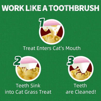 Just Try 14 OZ Cat Grass Treats for Indoor Cats Hairball Control | Salmon Flavor,Dental Care,Catnip for Cats,Crunchy Kitten Snacks,Training Biscuits5