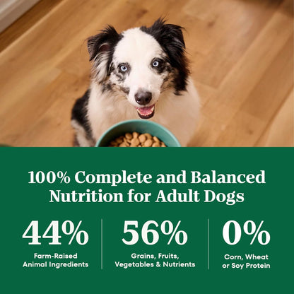 Nutro Natural Choice Adult Dry Dog Food, Chicken & Brown Rice Recipe, 30 Lb | Non-Gmo, Real Chicken #1 Ingredient, No Corn, Wheat, Soy or Chicken By-Product Meal, Supports Skin & Coat/Digestion/Immunity8