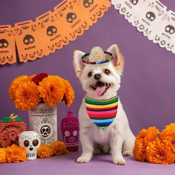 PUPTECK Mexican Day of the Dead Dog Bandana with Pet Sombrero Hat Colorful | Pet Halloween Oufits Costumes Decorations Supplies for Small Medium Large Dogs Boy Girl Gifts7