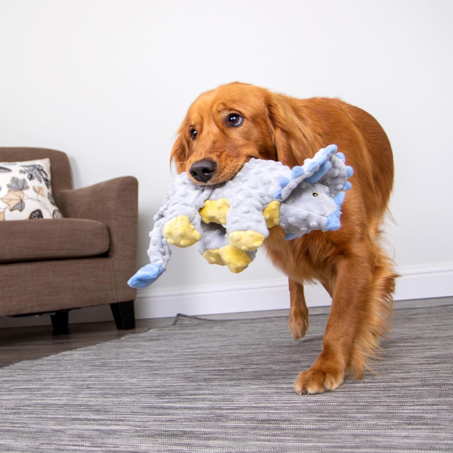 godog-dinos-frills-squeaky-plush-dog-toy-with-chew-guard-technology-durable-fabric-squeaker-for-active-play-gray-large