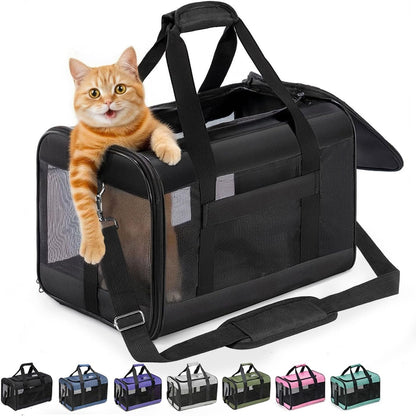 Conlun Cat Carrier Airline Approved, Soft-Sided Dog Carrier with Inner Safety Leash, Pet Transport Carrier for Small-Medium Cats Puppies up to 15 Lbs, Collapsible Travel Kitten Carrier Bag -Blackm | Airline Approved,With Inner Safety Leash,Collapsible Pet Transport Carrier for Small Dog/Medium Cats1