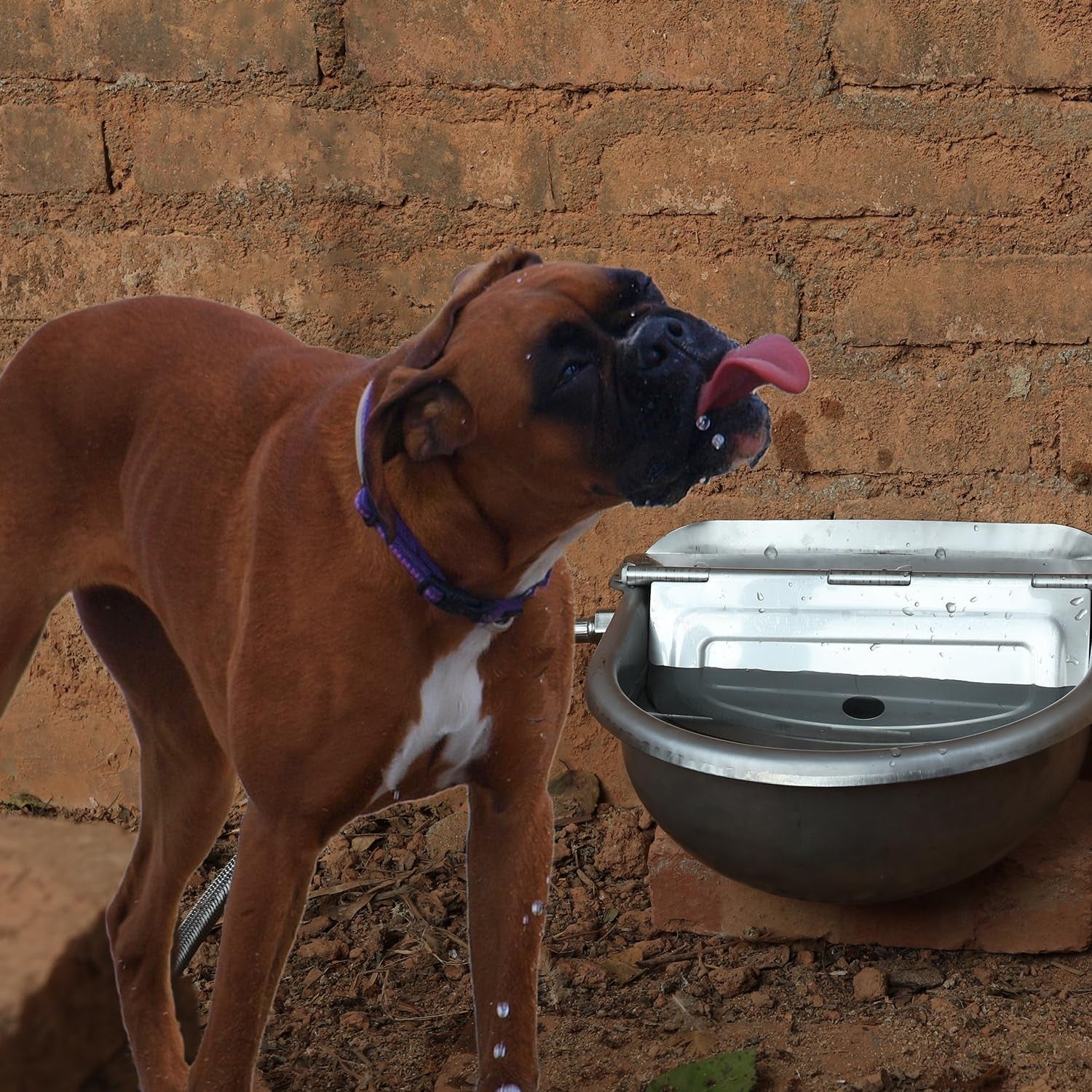 automatic-dog-water-bowl-dispenser-large-size-pet-waterer-feeder-stainless-steel-water-trough-for-poultry-and-small-livestock