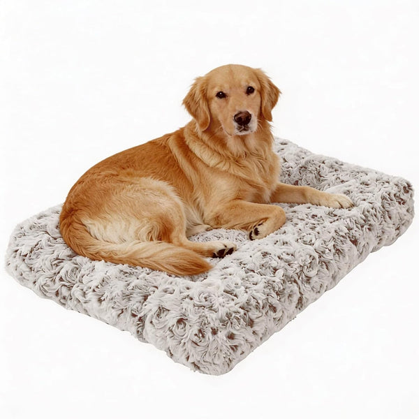 Orthopedic Dog Bed for Dogs, Calming Plush Dog Mat with Thick Cushion Support, Washable Fluffy Pet Bed with Non-Slip Bottom, Soft Indoor Dog Crate Bed (Gray, 41.0" L X 27.0" W X 4.0" Th)14