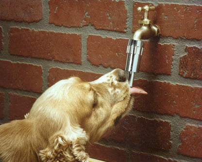 Lixit® L100 Water Faucet Automatic Fountain for Dogs and Other Pets - Made in USA (1 Pack)7