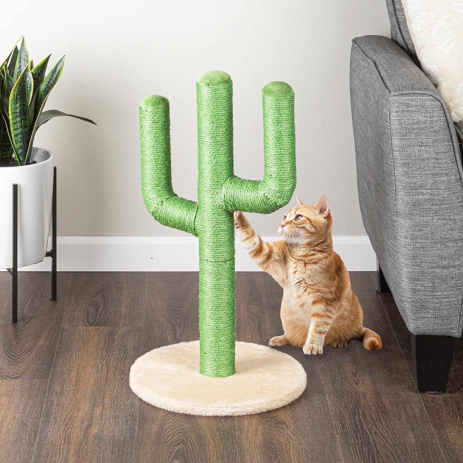 24-tall-cat-scratching-post-vertical-cactus-scratch-post-for-indoor-cats-360-degree-jute-rope-covered-kitten-scratcher-with-3-branches-and-sturdy-base-by-petmaker-green