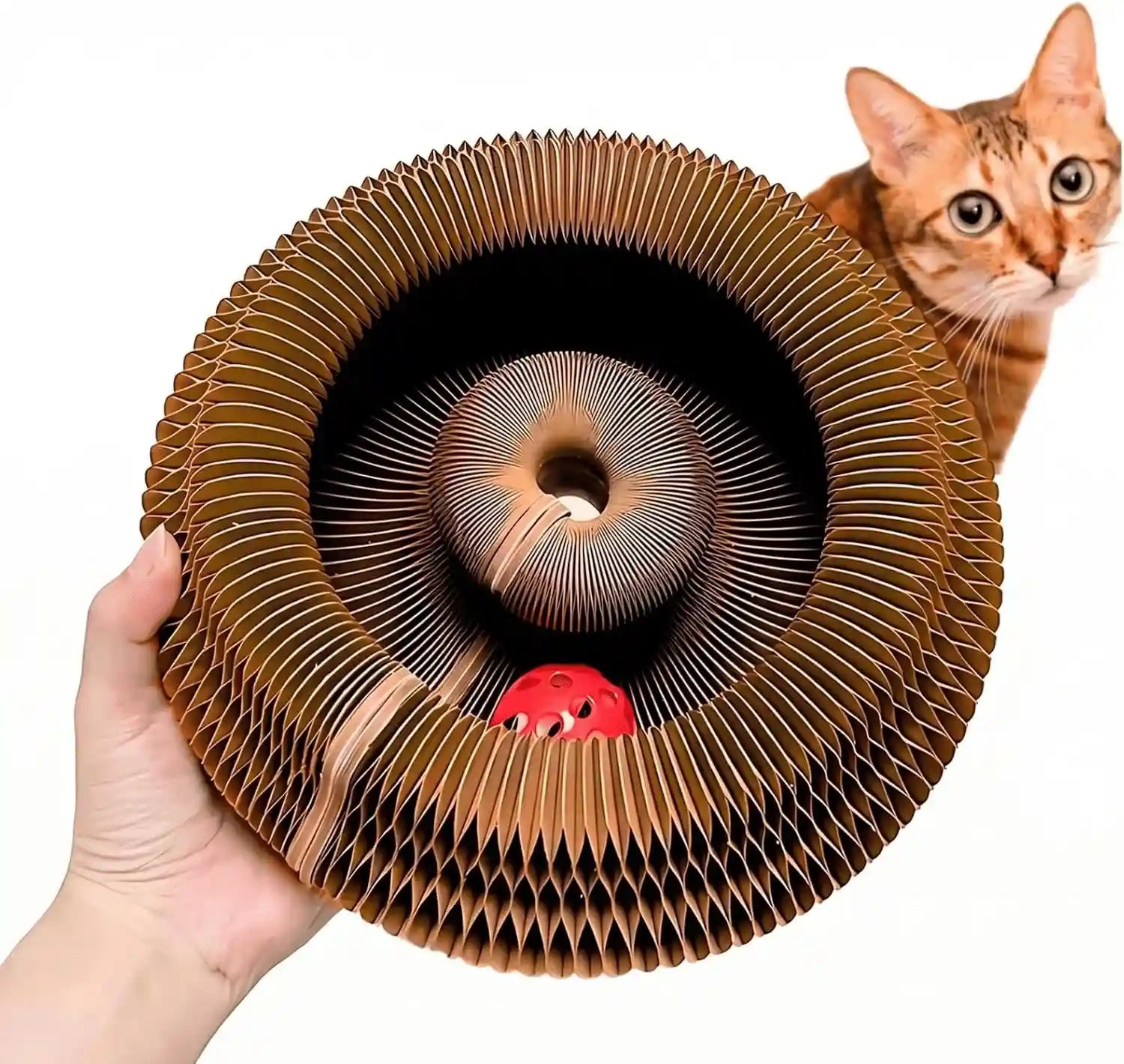 kitty-kurlz-interactive-cat-toy-cardboard-cat-scratcher-collapsible-ball-track-with-bell-for-indoor-cats-reversible-scratch-ring-play-chase-and-lounge