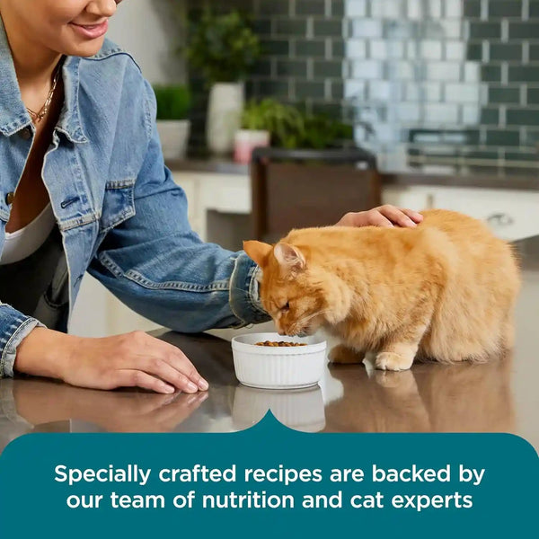 Nutrish Dry Cat Food, Salmon & Brown Rice Recipe, 14 Lb. Bag (Rachael Ray) | Suitable for Cats of All Life Stages, No Artificial Flavors, Nature Food with Added Vitamins, Minerals & Nutrients6