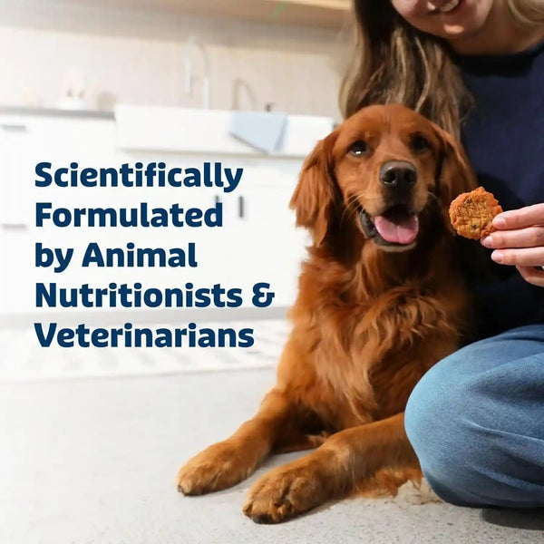 Blue Buffalo True Chews Chicken Pot Pie Natural Dog Treats, Real Meat Dog Snacks, Healthy Reward or Training Treat, Made in the USA with Real Chicken & Natural Ingredients, 12 Oz.5