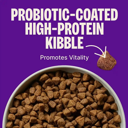 Wellness CORE Small Breed Adult Dry Dog Food, Grain Free Kibble, Natural, High Protein, Turkey and Chicken Recipe, 4 Lb Bag5