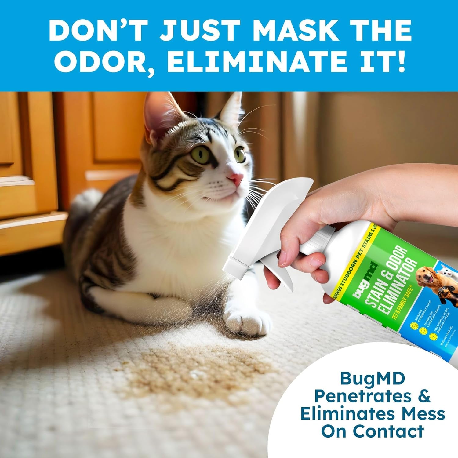 bugmd-enzyme-cleaner-for-dog-cat-urine-unscented-pet-stain-destroyer-odor-remover-and-deodorizer-for-carpet-and-home-32-fl-oz