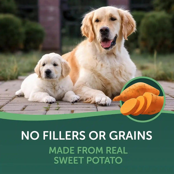 Healthfuls Sweet Potato Slices Healthy Dog Treats – Limited Ingredient, Grain Free, Made from Real Dried Sweet Potatoes, 16 Oz5