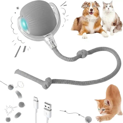 Purrmitive 2026 Durable Interactive Cat Toys for Indoor Cats, Dog Toys Ball, Rolling Pet Ball, Smart Automatic Cat Chase Balls Toy, Interactive Dog Toys Speedy Tail,Kitten & Cat Toys Interactive (Red)11
