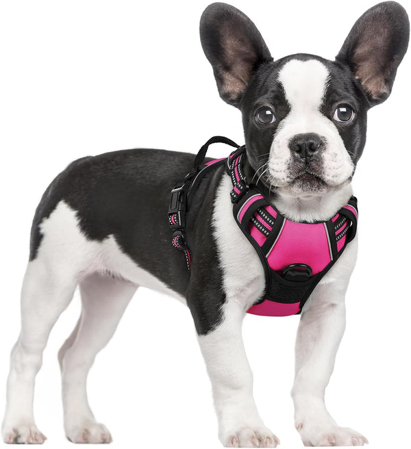 Rabbitgoo Dog Harness, No Pull for Large Dogs with 2 Leash Clips, Pet Vest | No Choke with Handle, Adjustable Soft Padded, Reflective, Easy Control for Walking, Black, Large88