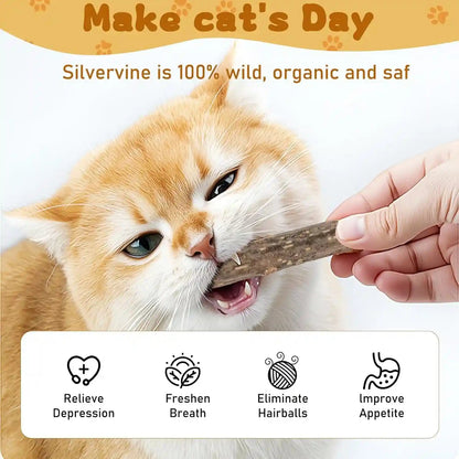 Wolover Silvervine Sticks for Cats, Natural Catnip Matatabi Chew Sticks Teeth Molar Chew Toys for Cat Kitten Kitty (At Least 12 PCS)3