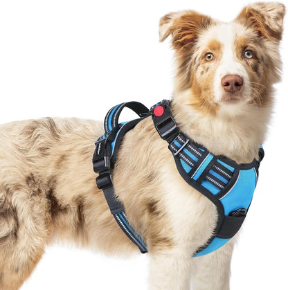 Rabbitgoo Dog Harness Medium Sized, Updated Easy on & off with 3 Buckles | No Pull No Choke, Walking with 2 Clips and Handle, Adjustable Soft Reflective, Blue, Medium36