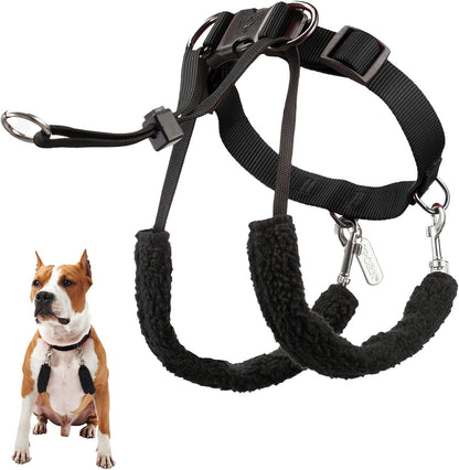 Sporn Head Halter for Dogs, No Pull Dog Harness, Durable Nylon Training Collar for Large Breeds, No Choke Design, Padded Restraints, Adjustable Fit, Easy On/Off, Black, Large17