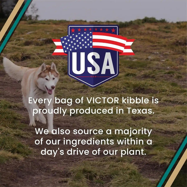 VICTOR Super Premium Dog Food – Hi-Pro plus Dry Kibble – High Protein Dog Food with 30% Protein – Beef, Chicken, Pork, Fish Meals, Gluten Free - for High Energy and Active Dogs & Puppies, 40Lbs10