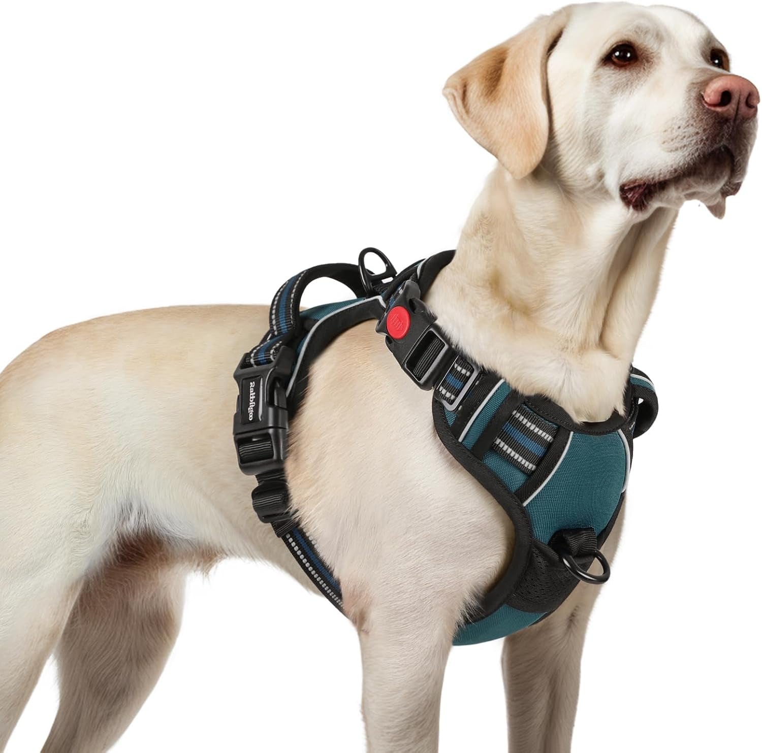 rabbitgoo-dog-harness-medium-sized-updated-easy-on-off-with-3-buckles-no-pull-no-choke-walking-with-2-clips-and-handle-adjustable-soft-reflective-blue-medium