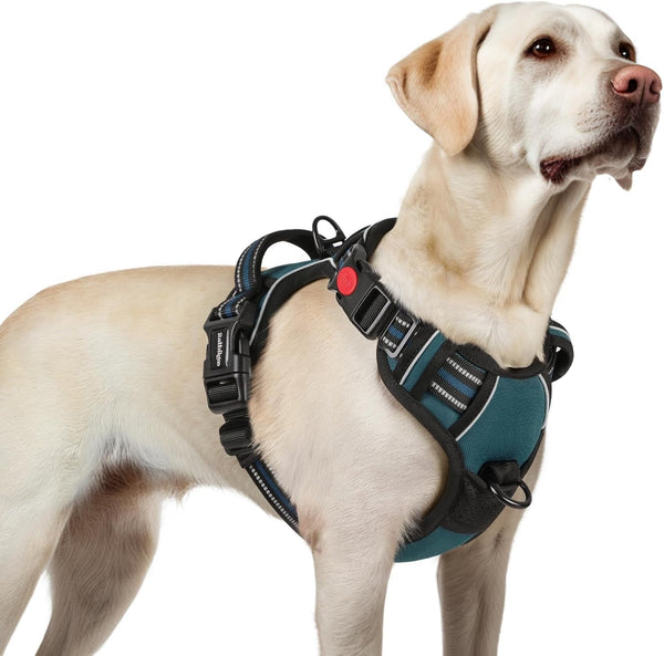 Rabbitgoo Dog Harness Medium Sized, Updated Easy on & off with 3 Buckles | No Pull No Choke, Walking with 2 Clips and Handle, Adjustable Soft Reflective, Blue, Medium13