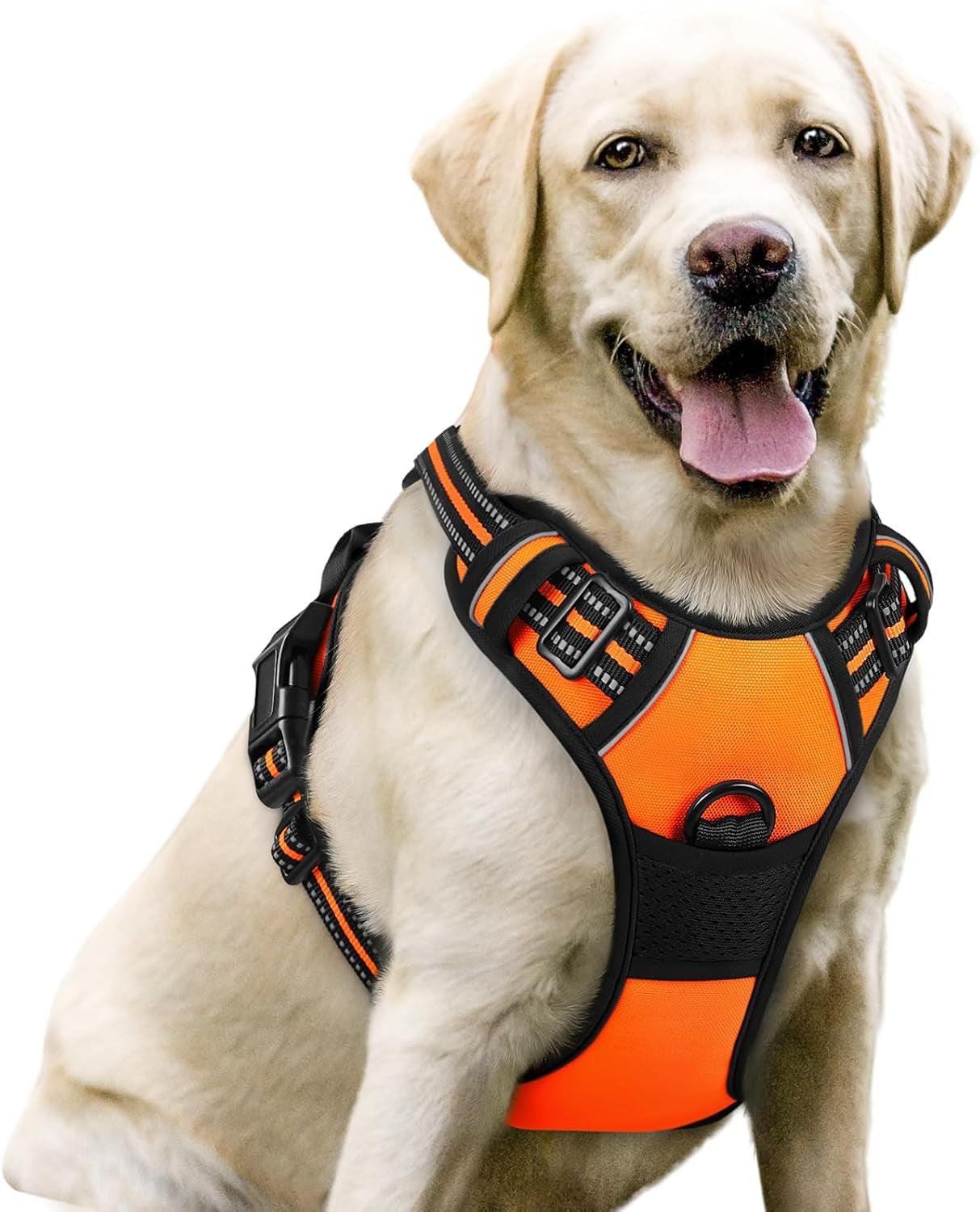 rabbitgoo-dog-harness-no-pull-for-large-dogs-with-2-leash-clips-pet-vest-no-choke-with-handle-adjustable-soft-padded-reflective-easy-control-for-walking-black-large