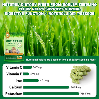 180G/6.4Oz Cat Grass Treats for Hairball Control, Natural Teeth Cleaning & Fresh Breath, Crunchy Catnip Flavored Biscuits with Barley Grass, Cat Training Rewards for All Breeds8