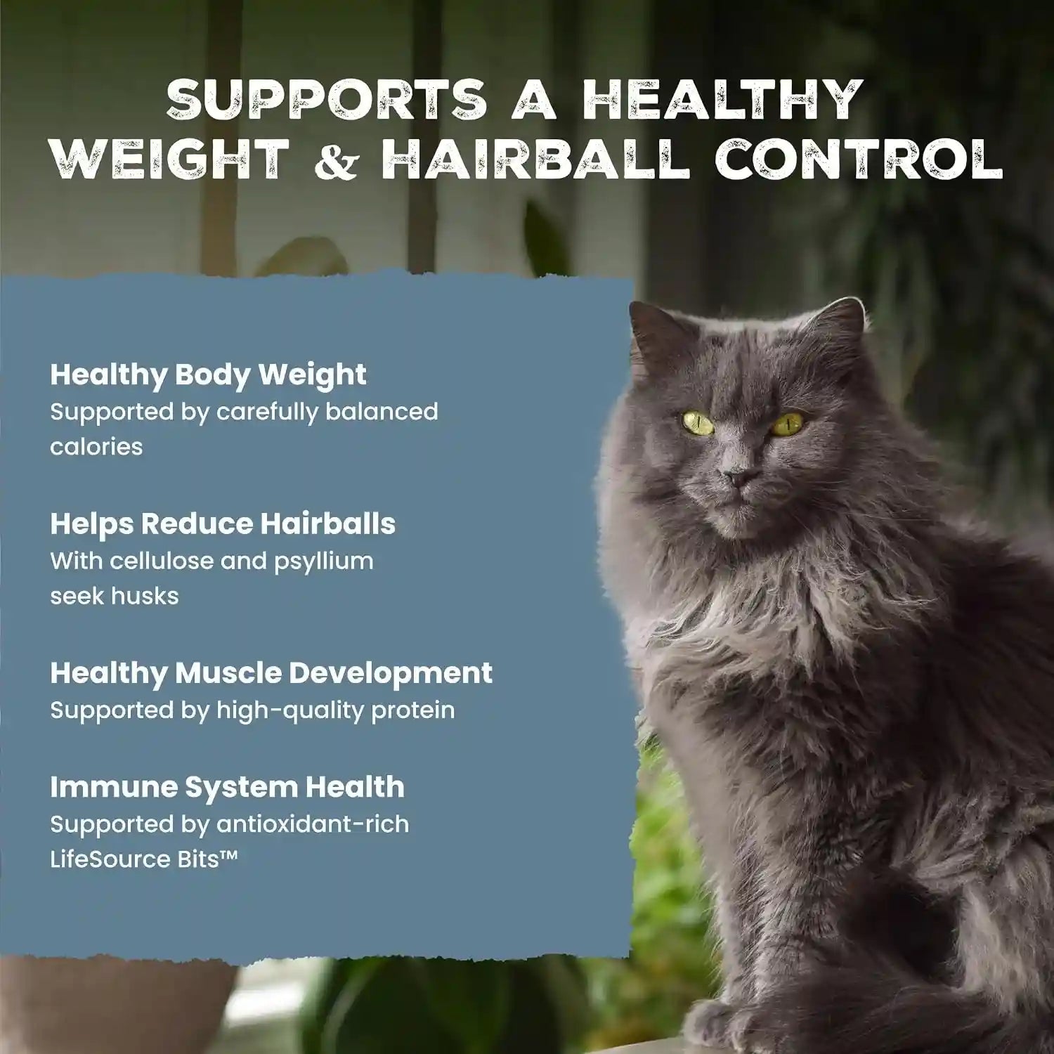 blue-buffalo-wilderness-chicken-natural-high-protein-grain-free-dry-food-hairball-weight-control-for-adult-indoor-cats-real-chicken-first-antioxidant-rich-lifesource-bits-support-immunity-11-lbs
