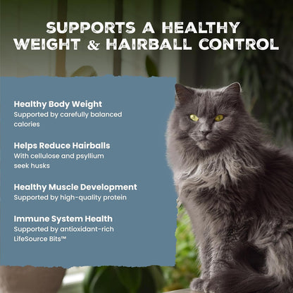 Blue Buffalo Wilderness Indoor Hairball & Weight Control Dry Cat Food, 11Lb | High Protein, Real Chicken #1 Ingredient, Supports a Healthy Weight in Adult Cats, Promotes Healthy Digestion5