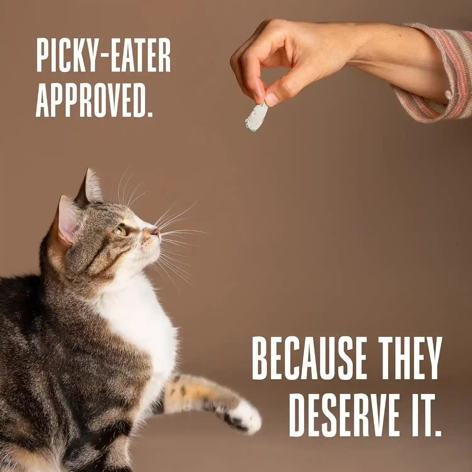 whole-life-cat-just-one-chicken-freeze-dried-cat-treats-human-grade-high-protein-food-healthy-training-snacks-freeze-dried-chicken-food-toppers-usa-made-natural-treats-4-oz-pack-of-1