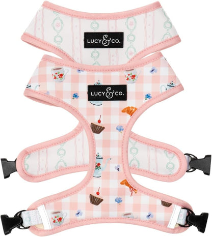 Lucy & Co. Reversible Dog Harness - Water-Repellent Neoprene, Dual-Print Design, Easy Swap Style, Adjustable Comfort Fit - Take a Bow Reversible Harness - Small23