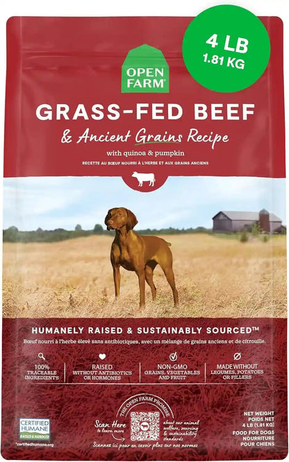 Open Farm Ancient Grains Dry Dog Food, Wild Caught Salmon Kibble, 22Lb Bag | All Life Stages, All Breed Sizes, Protein-Rich & Nutrient Dense, 100% Traceable Ingredients, Non-Gmo Fruits & Veggies.27