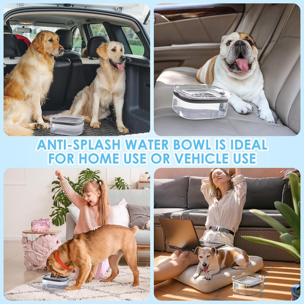 3L No Spill Dog Water Bowl with Slow Drinking Disk(Gray) | Clear Acrylic, Easy Water Check, Non-Slip Pads, Slobber Stopper Splash Proof Water Bowl for Sloppy Messy Drinkers Reduce Mess6