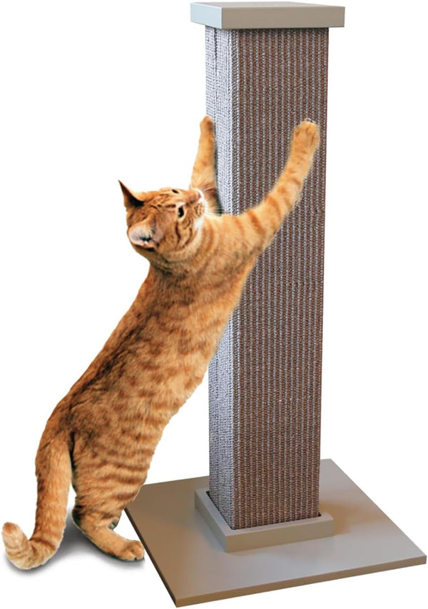 Smartcat Pioneer Pet Ultimate Scratching Post (Beige)11