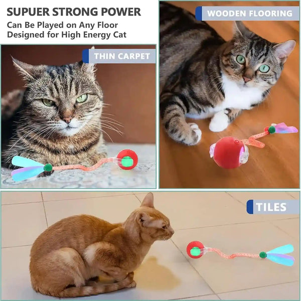 2 Packs Speed 2.0 Tail Interactive Cat Toys for Indoor Cats, Chirping & Motion Activate Cat Toy, Smart Kitten Rolling Ball Moving Ball Toys, Rechargeable Dog Cats Bal L for Enrichment Exercise8