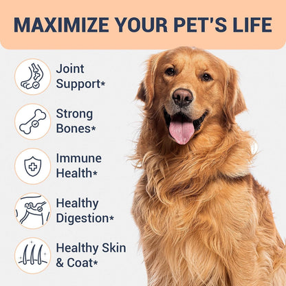 Beef Bone Broth for Dogs - High Protein Human Grade Food Topper for Joint, Bone, Immune, Digestive, Skin & Coat Support - Single Ingredient Dog Bone Broth, Unflavored Powder for All Ages & Breeds4