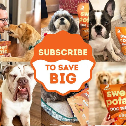 Davie'S Sweet Potato Dog Treats - Healthy, Natural Dog Chews, Low Fat, 1 Lb. Bag9