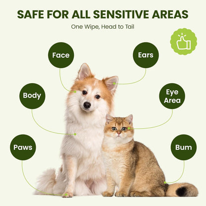 Hypoallergenic Pet Wipes for Dogs, Cats & Small Animals, 400 Coun | Quick Clean & Deodorize Paws, Butt, Eyes, Face & Fur | Daily Grooming Wipes | Extra Large & Thick | Coconut Scented2