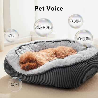 Washable Dog Bed for Small Medium Sized Dogs, Rectangle Small Puppy Cat Dog Beds, Orthopedic Pet Bed, Soft Breathable Calming Pet Sofa Bed Anti-Anxiety with Anti-Slip Buttom, S(20"X19"X6")2