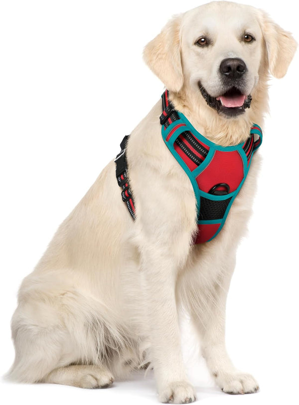 Rabbitgoo Dog Harness, No Pull for Large Dogs with 2 Leash Clips, Pet Vest | No Choke with Handle, Adjustable Soft Padded, Reflective, Easy Control for Walking, Black, Large57